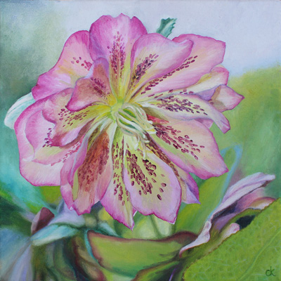 Spring Hellebore  oil painting by Carole King