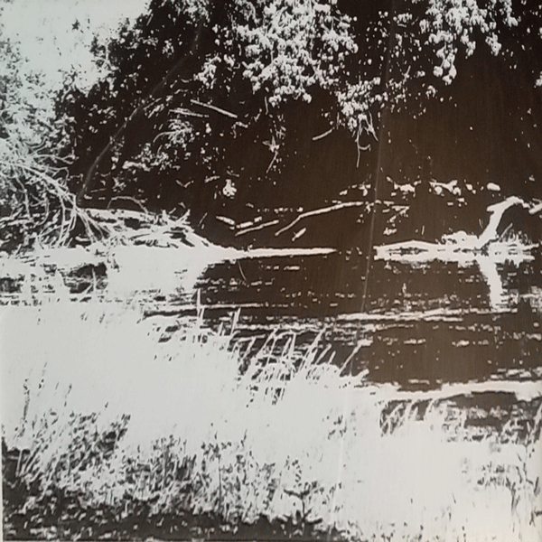 silkscreen print of the teif river at Cenarth, west Wales